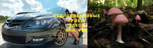 дживик Магадан