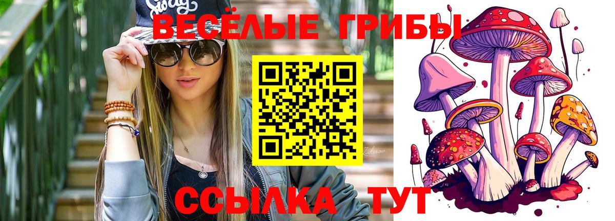 Галлюциногенные грибы прущие грибы  Псилоцибиновые грибы мицелий  Назрань 