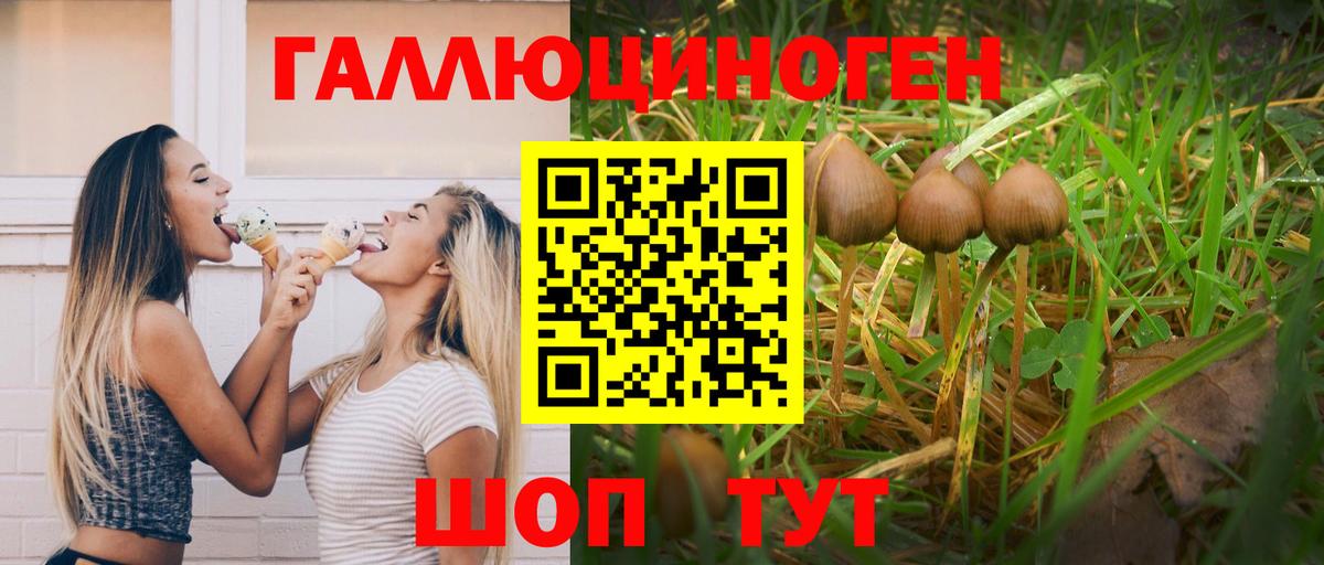 Галлюциногенные грибы ЛСД Назрань