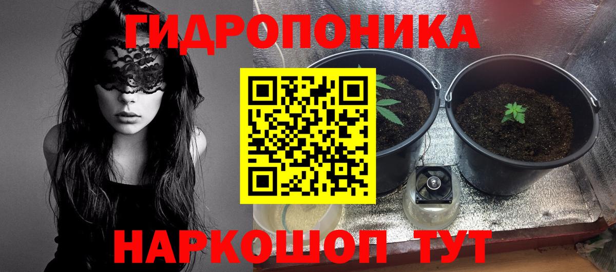 Марихуана план  Канабис SATIVA & INDICA  Вход с VPN  Назрань 